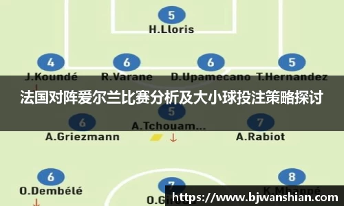 法国对阵爱尔兰比赛分析及大小球投注策略探讨